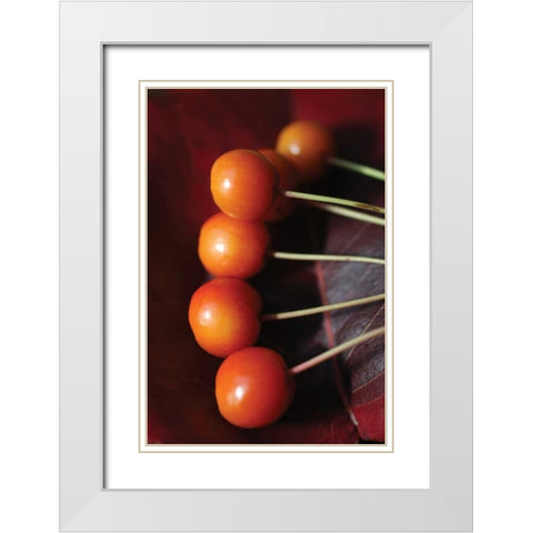 Berries I White Modern Wood Framed Art Print with Double Matting by Putman, Tammy