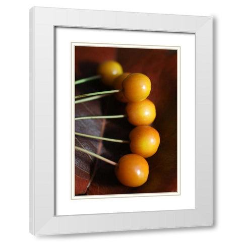Berries II White Modern Wood Framed Art Print with Double Matting by Putman, Tammy