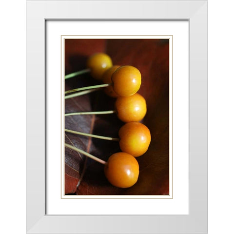 Berries II White Modern Wood Framed Art Print with Double Matting by Putman, Tammy