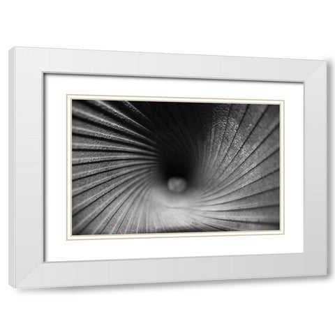 Inside a Howitzer White Modern Wood Framed Art Print with Double Matting by Putman, Tammy