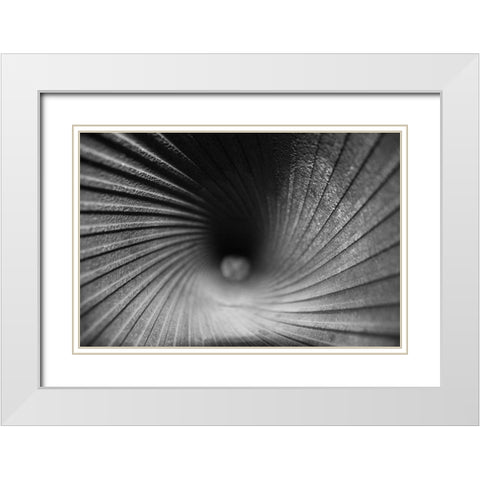 Inside a Howitzer White Modern Wood Framed Art Print with Double Matting by Putman, Tammy