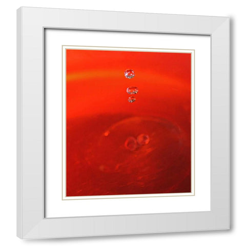 Red Drink Drop II White Modern Wood Framed Art Print with Double Matting by Putman, Tammy