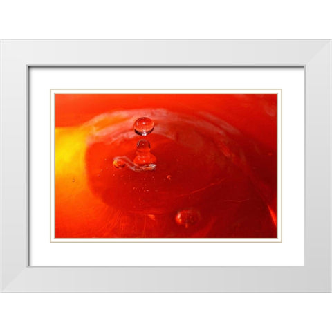Red Drink Drop III White Modern Wood Framed Art Print with Double Matting by Putman, Tammy