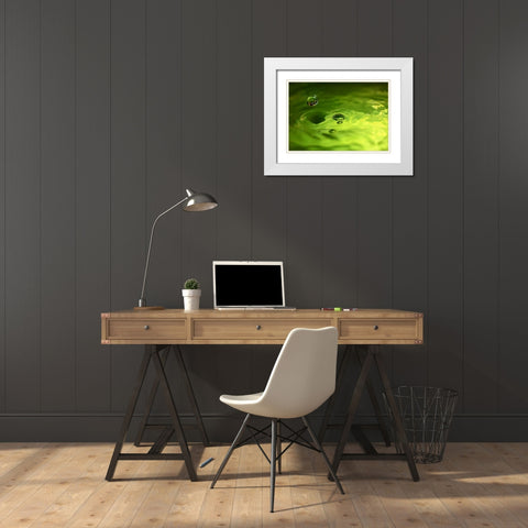 Lemon Lime Drop I White Modern Wood Framed Art Print with Double Matting by Putman, Tammy