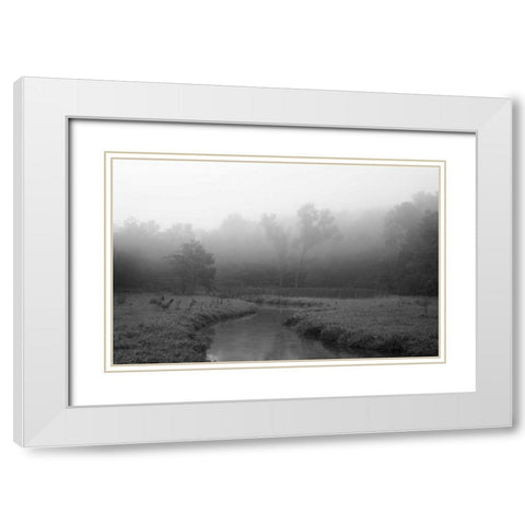 Creek in Fog I White Modern Wood Framed Art Print with Double Matting by Putman, Tammy