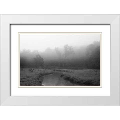 Creek in Fog I White Modern Wood Framed Art Print with Double Matting by Putman, Tammy