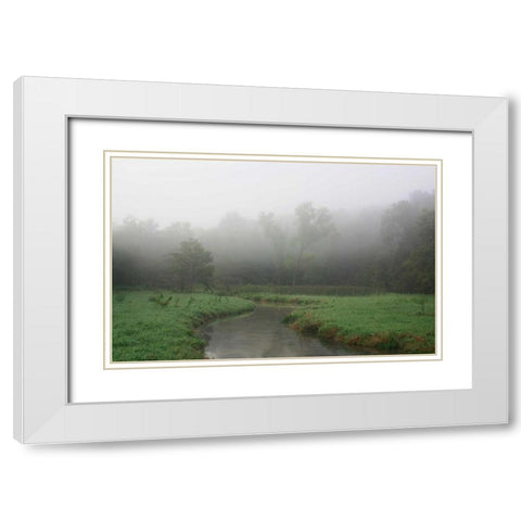 Creek in Fog I White Modern Wood Framed Art Print with Double Matting by Putman, Tammy