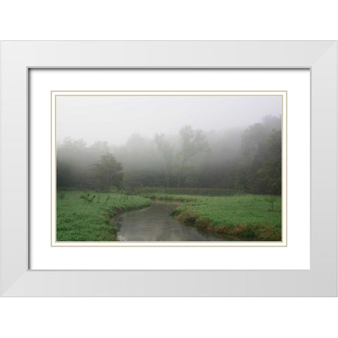 Creek in Fog I White Modern Wood Framed Art Print with Double Matting by Putman, Tammy