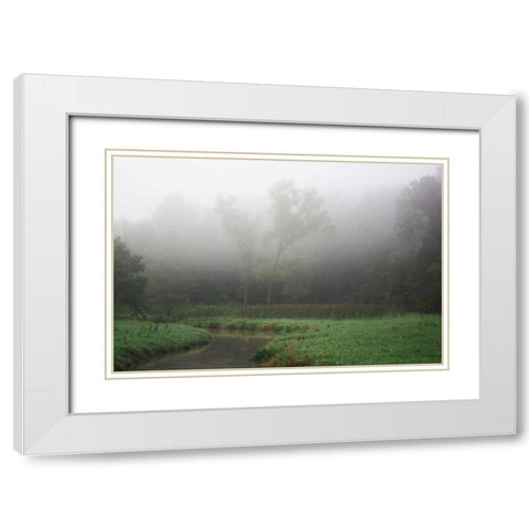 Creek in Fog II White Modern Wood Framed Art Print with Double Matting by Putman, Tammy
