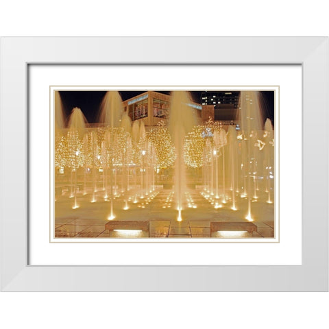 Fountains White Modern Wood Framed Art Print with Double Matting by Putman, Tammy