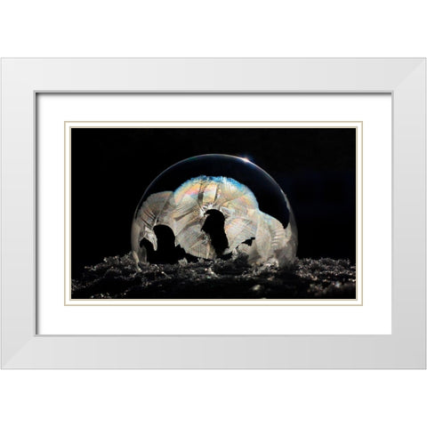 Frozen Bubble White Modern Wood Framed Art Print with Double Matting by Putman, Tammy