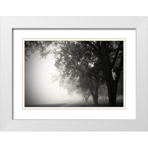 Morning Walk White Modern Wood Framed Art Print with Double Matting by Putman, Tammy