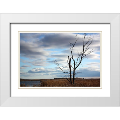 Dakota View White Modern Wood Framed Art Print with Double Matting by Putman, Tammy