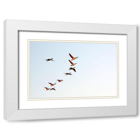 Flock White Modern Wood Framed Art Print with Double Matting by Putman, Tammy