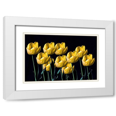 Yellow Tulips White Modern Wood Framed Art Print with Double Matting by Putman, Tammy