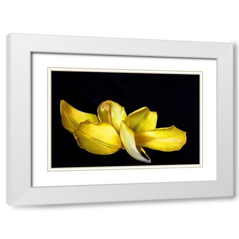 Pieces White Modern Wood Framed Art Print with Double Matting by Putman, Tammy