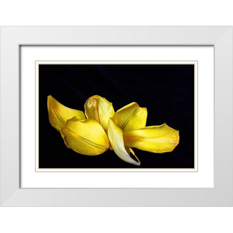 Pieces White Modern Wood Framed Art Print with Double Matting by Putman, Tammy