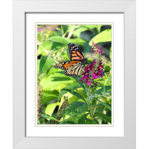 Monarch Garden I White Modern Wood Framed Art Print with Double Matting by Putman, Tammy