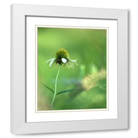 White Cones I White Modern Wood Framed Art Print with Double Matting by Putman, Tammy