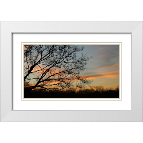 Dusk Silhouette I White Modern Wood Framed Art Print with Double Matting by Putman, Tammy