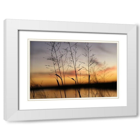 Dusk Silhouette II White Modern Wood Framed Art Print with Double Matting by Putman, Tammy