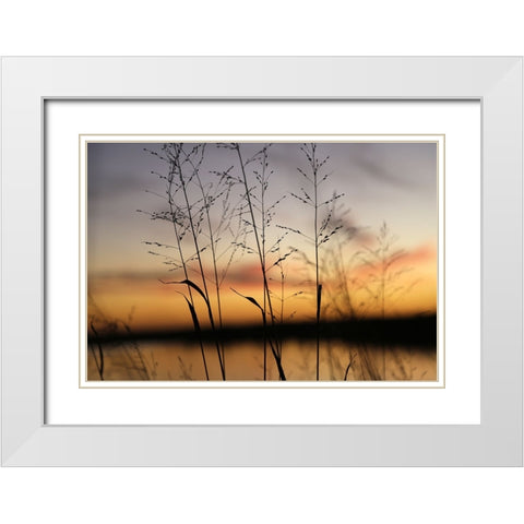Dusk Silhouette II White Modern Wood Framed Art Print with Double Matting by Putman, Tammy