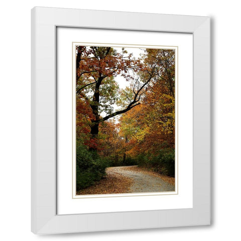 Autumn Drive White Modern Wood Framed Art Print with Double Matting by Putman, Tammy