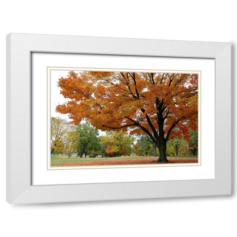 Orange Fall White Modern Wood Framed Art Print with Double Matting by Putman, Tammy
