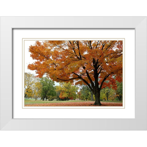 Orange Fall White Modern Wood Framed Art Print with Double Matting by Putman, Tammy