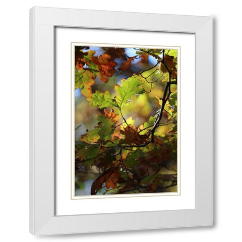 Green Andamp; Copper White Modern Wood Framed Art Print with Double Matting by Putman, Tammy