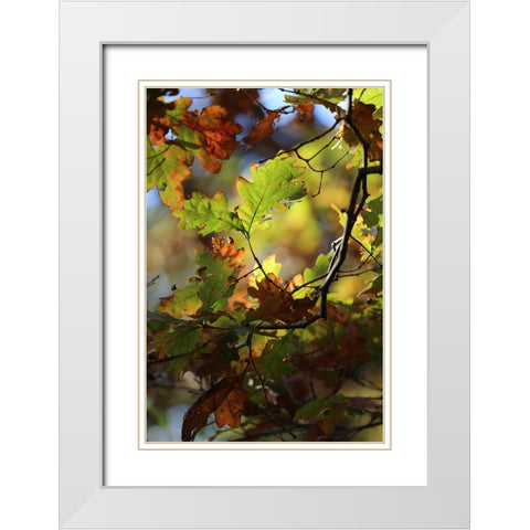 Green Andamp; Copper White Modern Wood Framed Art Print with Double Matting by Putman, Tammy