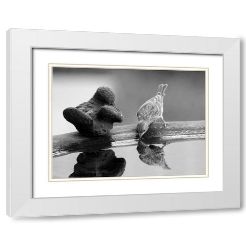 Finch II White Modern Wood Framed Art Print with Double Matting by Putman, Tammy