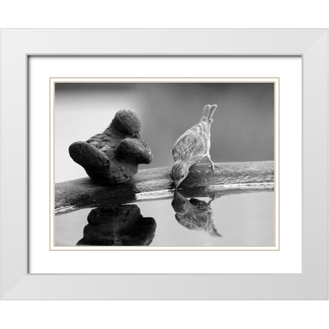 Finch II White Modern Wood Framed Art Print with Double Matting by Putman, Tammy