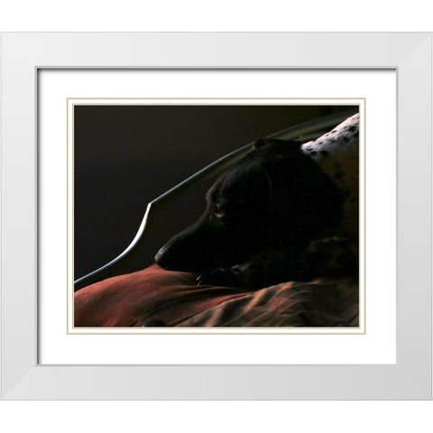 German Shorthaired Pointer White Modern Wood Framed Art Print with Double Matting by Putman, Tammy
