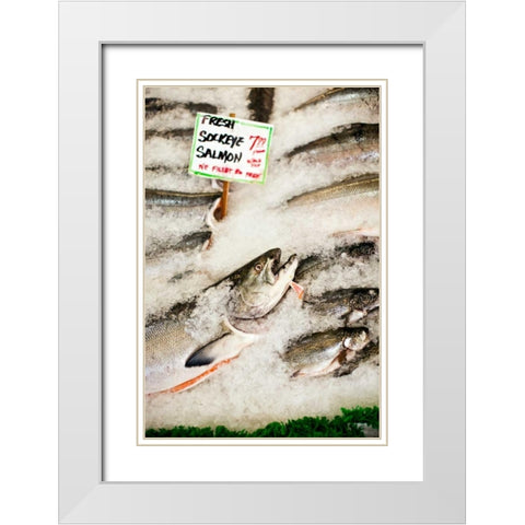 Fresh Seafood II White Modern Wood Framed Art Print with Double Matting by Stefko, Bob