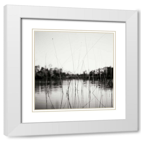 Water Grass White Modern Wood Framed Art Print with Double Matting by Stefko, Bob