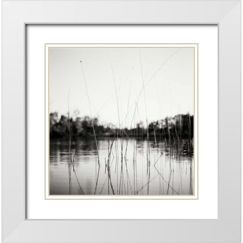 Water Grass White Modern Wood Framed Art Print with Double Matting by Stefko, Bob