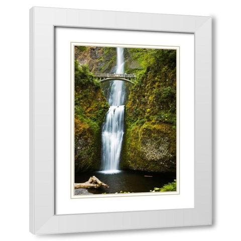 Multnomah Falls I White Modern Wood Framed Art Print with Double Matting by Stefko, Bob