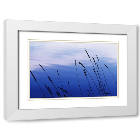 At Waters Edge I White Modern Wood Framed Art Print with Double Matting by Stefko, Bob