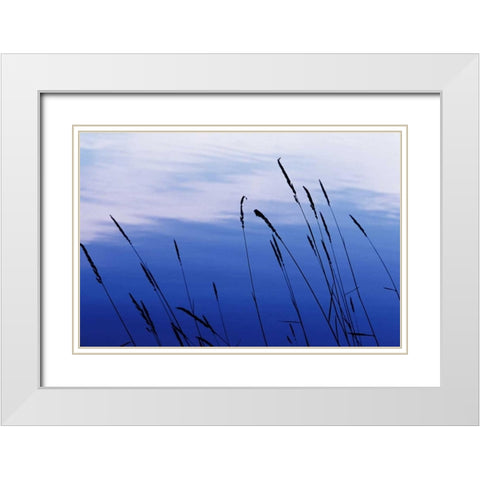 At Waters Edge I White Modern Wood Framed Art Print with Double Matting by Stefko, Bob