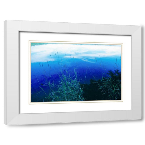 At Waters Edge II White Modern Wood Framed Art Print with Double Matting by Stefko, Bob