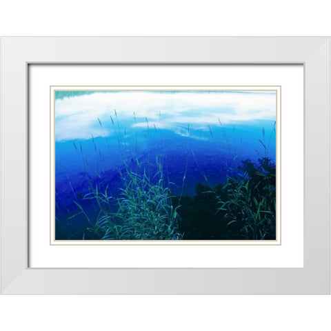 At Waters Edge II White Modern Wood Framed Art Print with Double Matting by Stefko, Bob