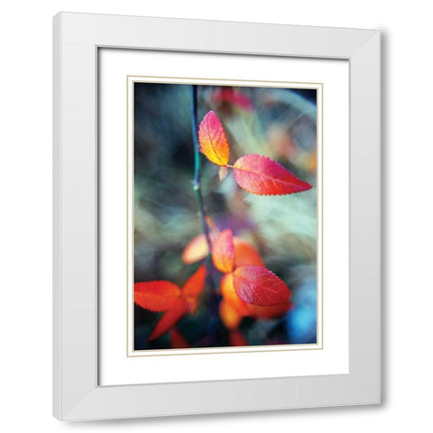 Fall Leaves I White Modern Wood Framed Art Print with Double Matting by Stefko, Bob