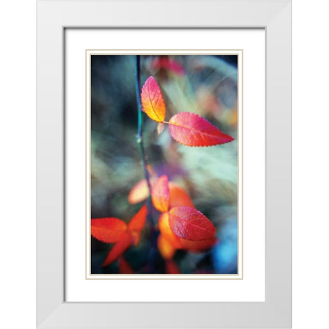 Fall Leaves I White Modern Wood Framed Art Print with Double Matting by Stefko, Bob