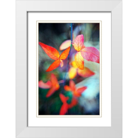 Fall Leaves II White Modern Wood Framed Art Print with Double Matting by Stefko, Bob