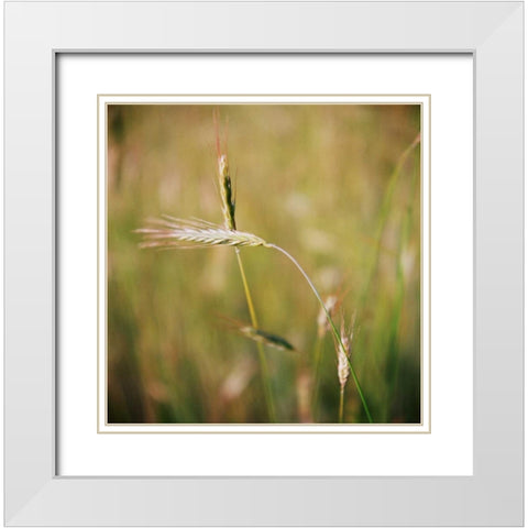 Simple Organics IV White Modern Wood Framed Art Print with Double Matting by Stefko, Bob
