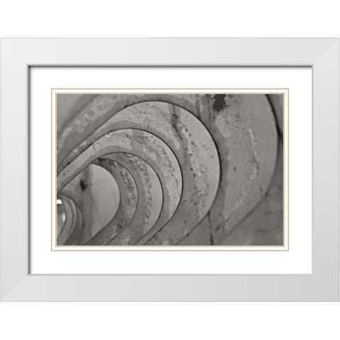 Oval Fractals IV White Modern Wood Framed Art Print with Double Matting by Styber, Dana