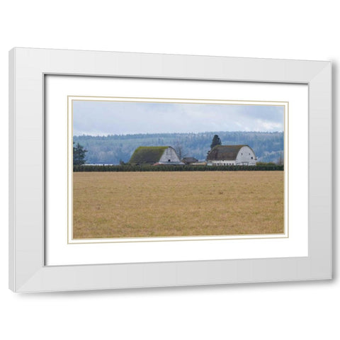 Dual Barns White Modern Wood Framed Art Print with Double Matting by Styber, Dana