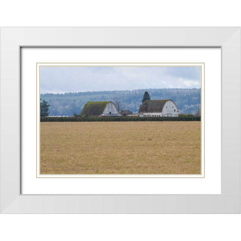Dual Barns White Modern Wood Framed Art Print with Double Matting by Styber, Dana