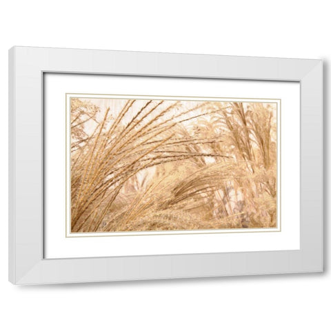 Blowing Grass II White Modern Wood Framed Art Print with Double Matting by Styber, Dana